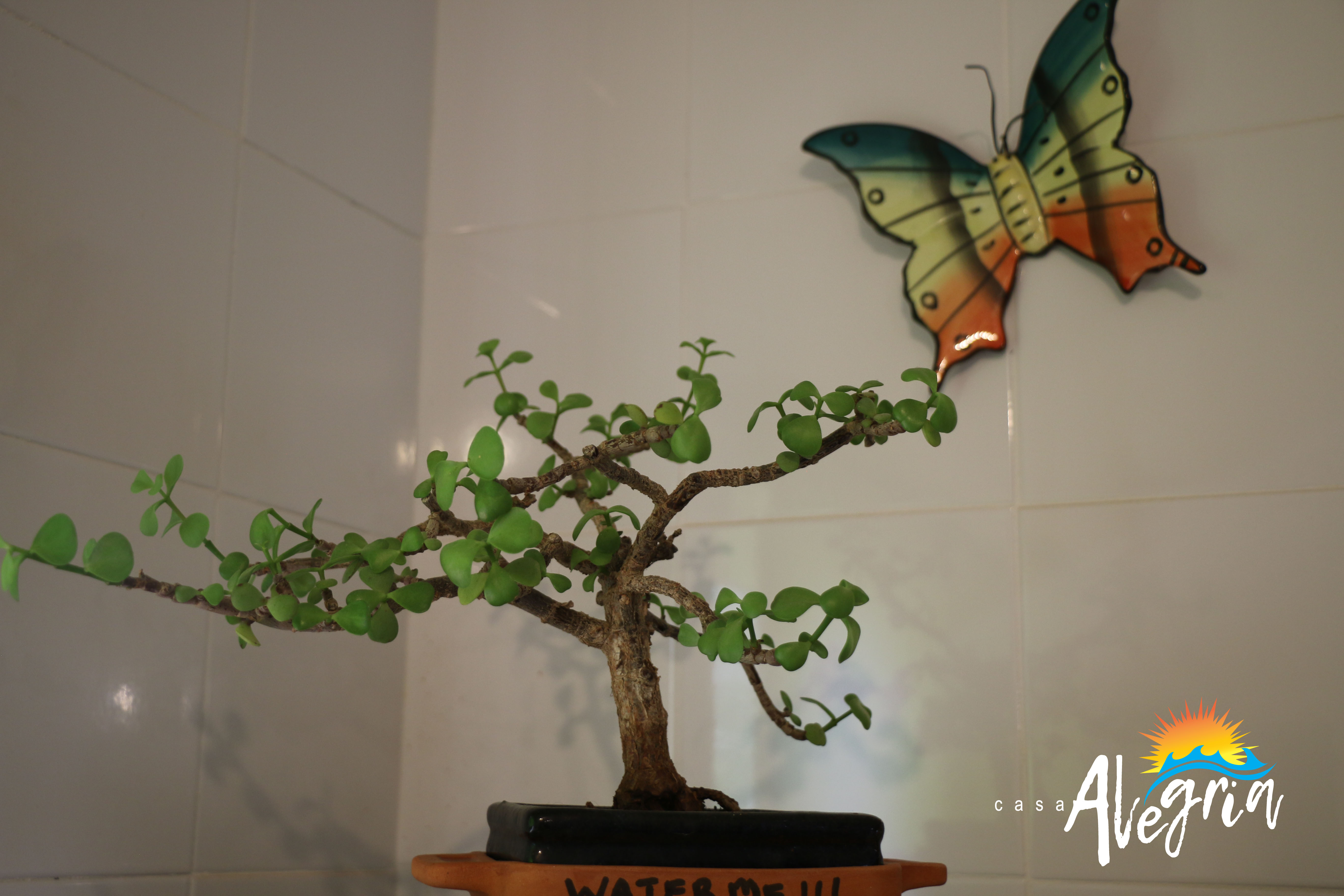 apartment/House_gallery_14.jpg