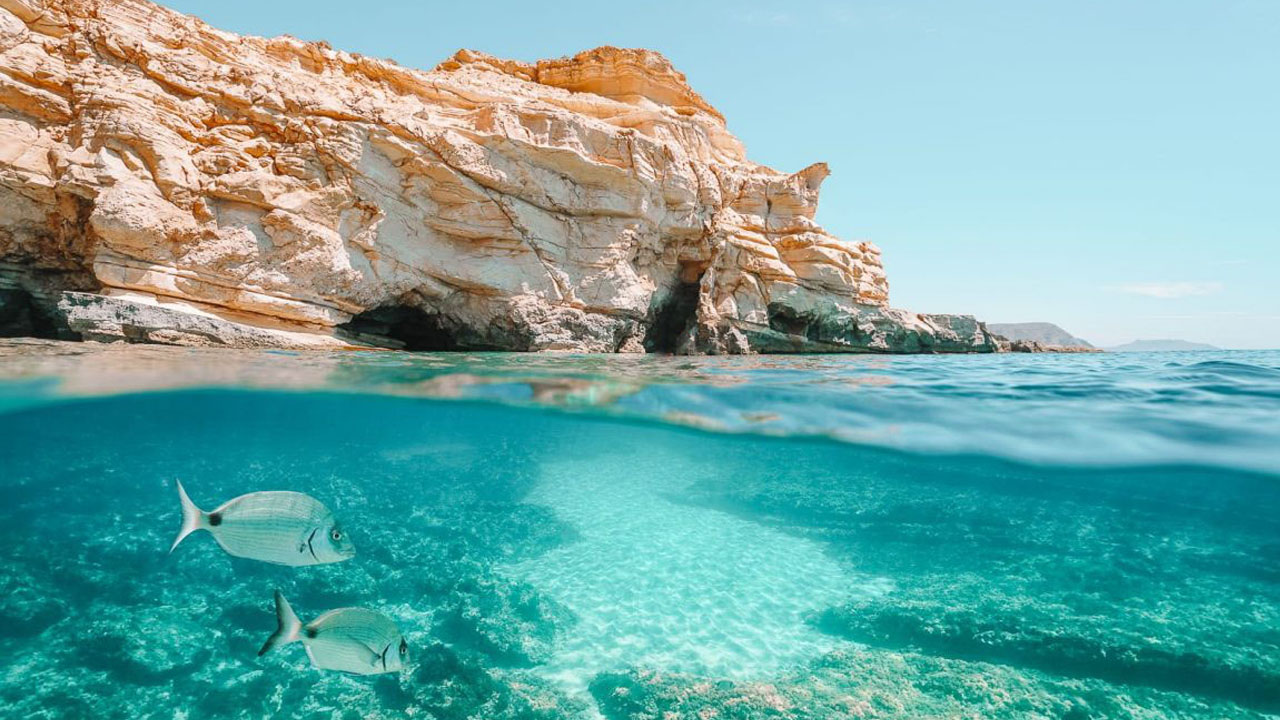 CABO DE GATO